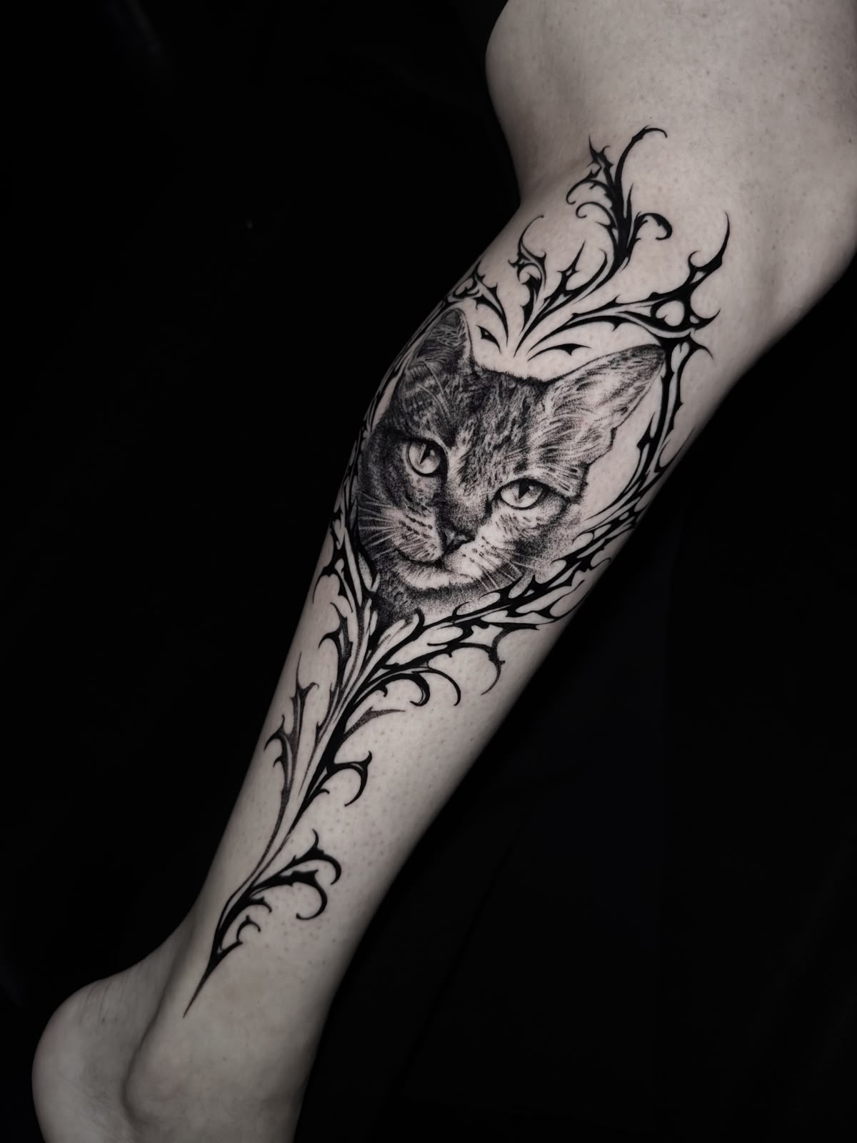 Tatuagem Blackwork Gato Ornamental na região panturrilha feita por Julia Garcia em Porto Alegre